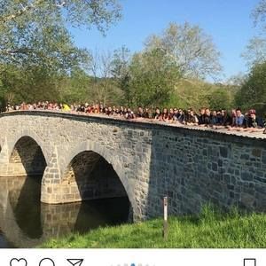 Meet your Posher, Dana